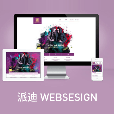 杭州網(wǎng)站建設(shè)公司派迪科技