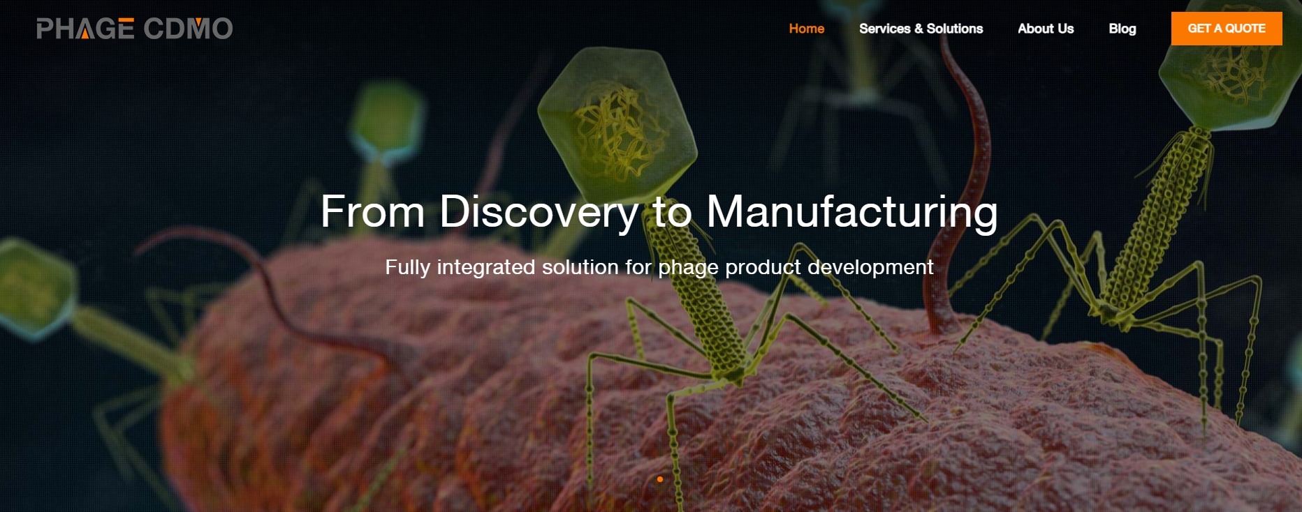 生物醫(yī)藥網(wǎng)站噪點(diǎn)設(shè)計(jì)